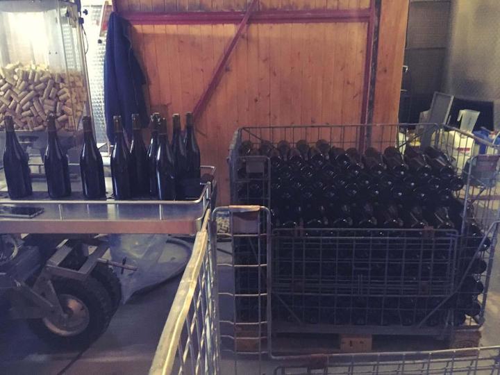 Fabrication de vins Villié-Morgon