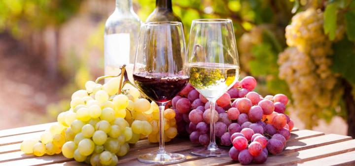 Fabricant de vins Villié-Morgon