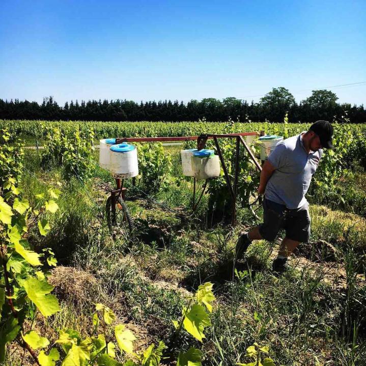 Fabricant de vins Villié-Morgon