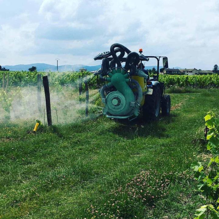 Fabricant de vins Villié-Morgon