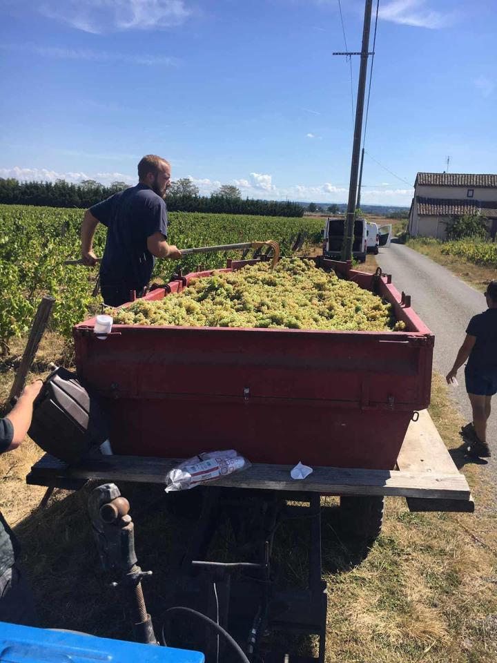 Fabricant de vins Villié-Morgon